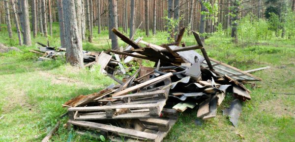 Debris Removal Service in Grand Junction